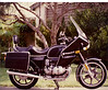 Richard Nowels (Mr-Head) > 11-04-06 Paul's New Ride photo